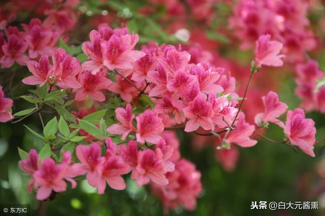 送給正在路上奔波的人，走自己的路做最好的自己