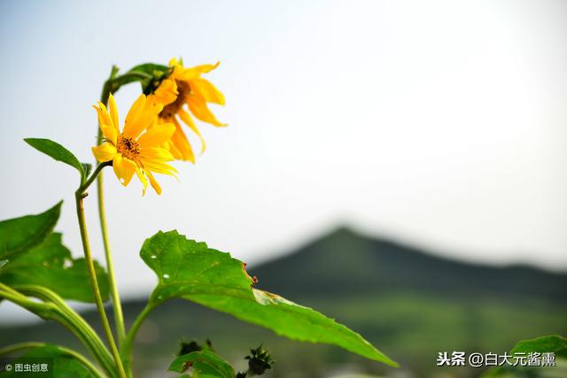 送給正在路上奔波的人，走自己的路做最好的自己