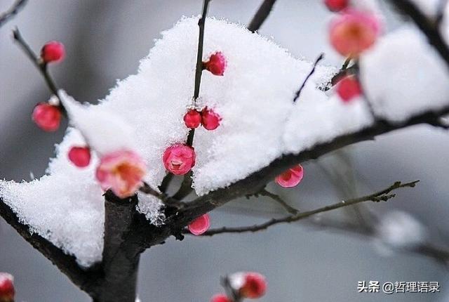 六句人生哲理,句句道出人生真諦!「經典哲理」