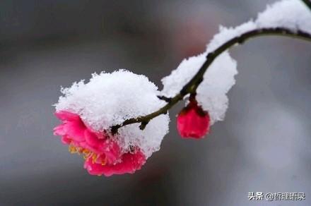 六句人生哲理,句句道出人生真諦!「經典哲理」