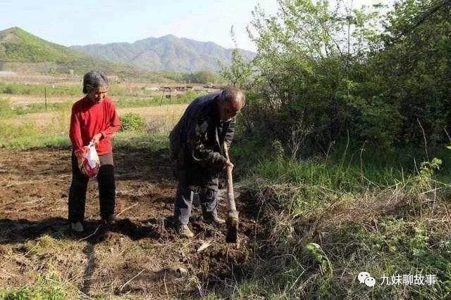 姐姐去公司找弟弟，弟弟卻嫌她丟人，公司老總看到姐姐卻笑臉相迎