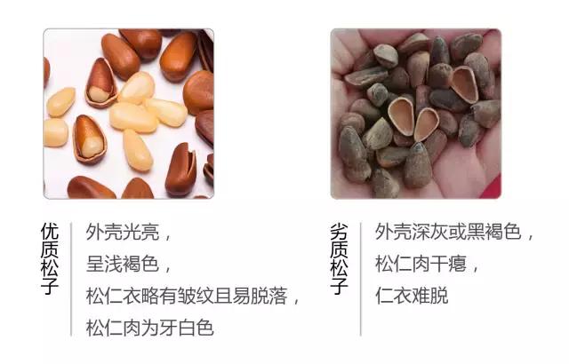 食品專家提醒：快過年了，這種堅果不要購買，給孩子選堅果有妙招