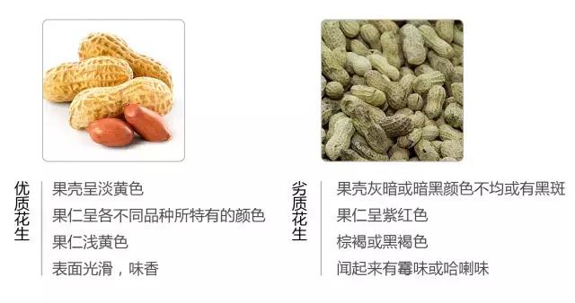 食品專家提醒：快過年了，這種堅果不要購買，給孩子選堅果有妙招