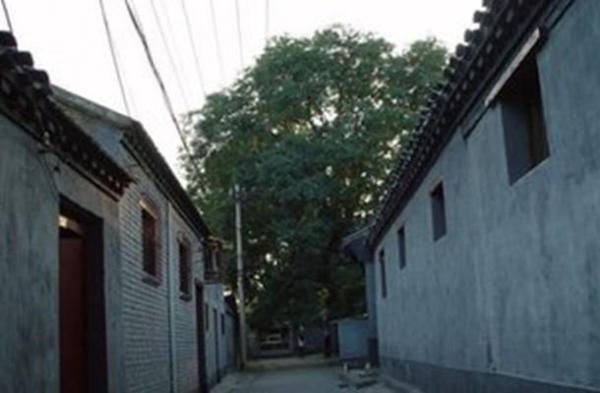 母親過世八年，女兒面試路上接陌生電話，傳來母親聲音：女兒快來！