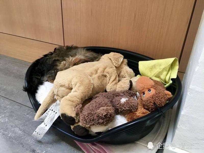 21張你需多看一眼才能明白其中真相的照片