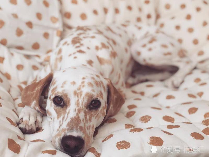 21張你需多看一眼才能明白其中真相的照片