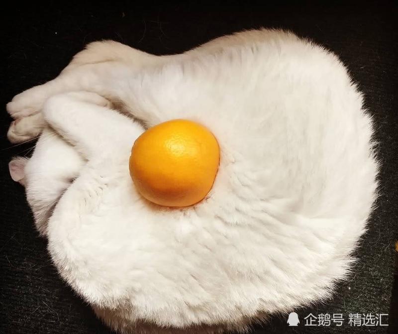 21張你需多看一眼才能明白其中真相的照片