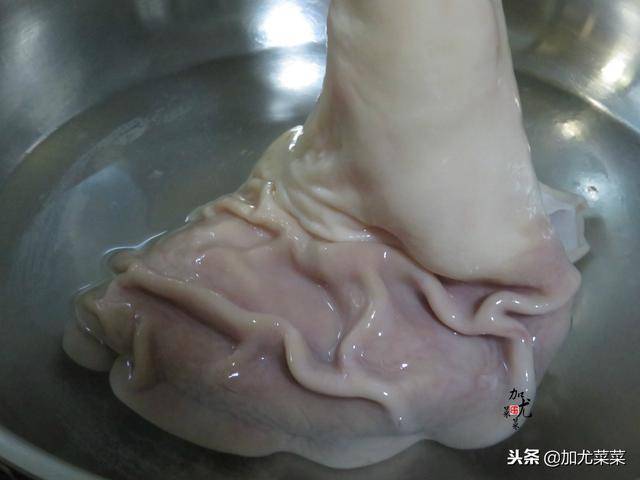 煮豬肚時，多加這2步，豬肚嫩滑鮮香，好吃極了!!!