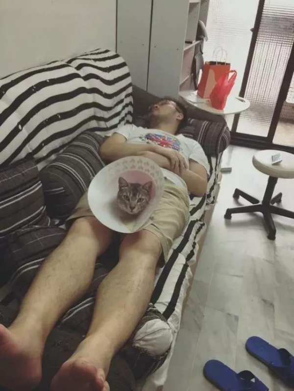 把拔馬麻就等「貓貓睡死這一刻」一系列貓咪一覺醒竟變成網紅的超爆笑照片！