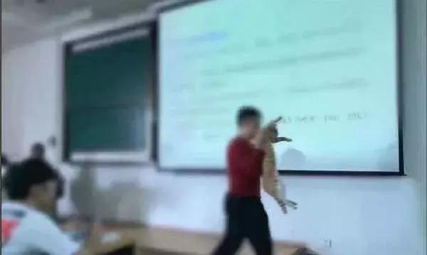 把拔馬麻就等「貓貓睡死這一刻」一系列貓咪一覺醒竟變成網紅的超爆笑照片！