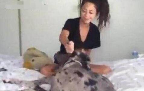 主人回家發現狗狗「一臉邪魅笑」，掰開嘴巴笑噴：你這是要拔巴笑到往生嗎？
