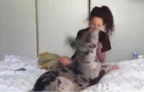 主人回家發現狗狗「一臉邪魅笑」，掰開嘴巴笑噴：你這是要拔巴笑到往生嗎？
