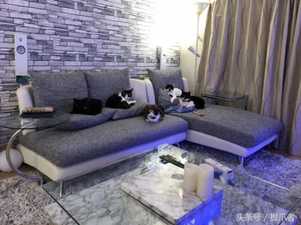 網友抱怨說假日想賴床都沒辦法，一問原因笑到噴淚！！這壓力真的是又大又可愛XDD