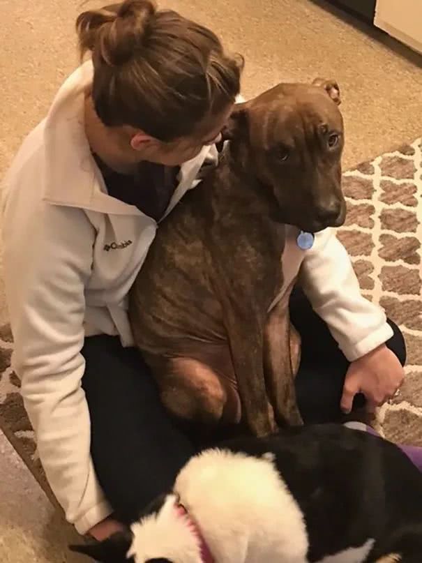 比特犬窩收容所一直沒人要，被領回家後「每天必做這件事」！