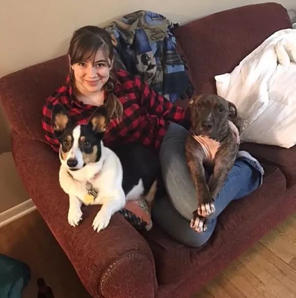 比特犬窩收容所一直沒人要，被領回家後「每天必做這件事」！
