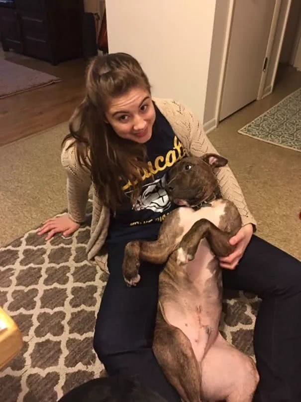 比特犬窩收容所一直沒人要，被領回家後「每天必做這件事」！