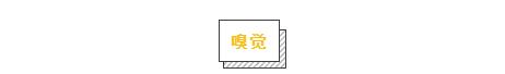 幾年不見，回家之後狗狗是怎麼認出我的