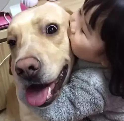 幾年不見，回家之後狗狗是怎麼認出我的