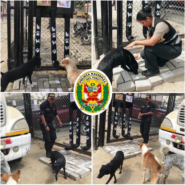 不忍心流浪動物們受苦，秘魯警方展開公益行動，給它們設置餐飲站