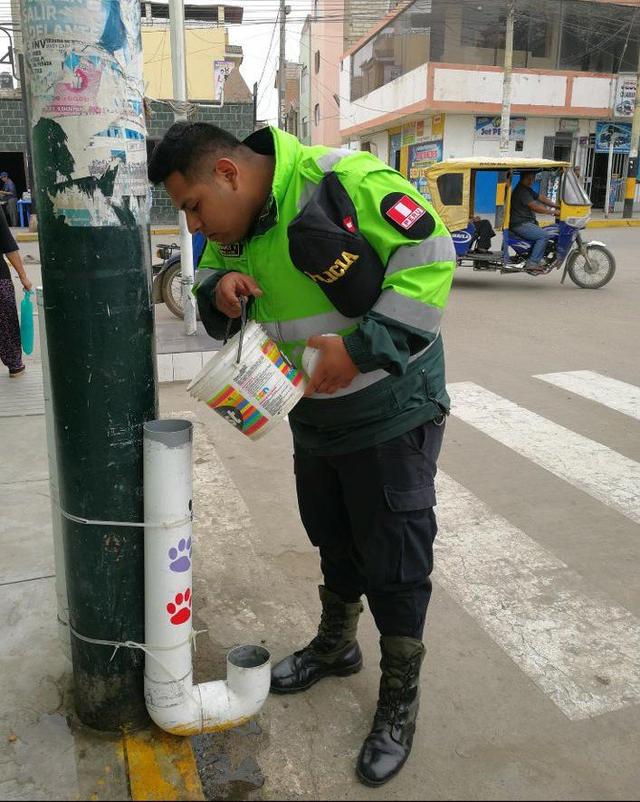 不忍心流浪動物們受苦，秘魯警方展開公益行動，給它們設置餐飲站
