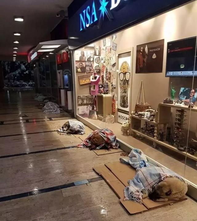 25°C低溫，深夜街頭黑衣男子暖哭無數人：謝謝你愛我