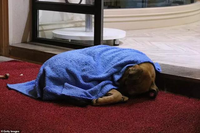 25°C低溫，深夜街頭黑衣男子暖哭無數人：謝謝你愛我