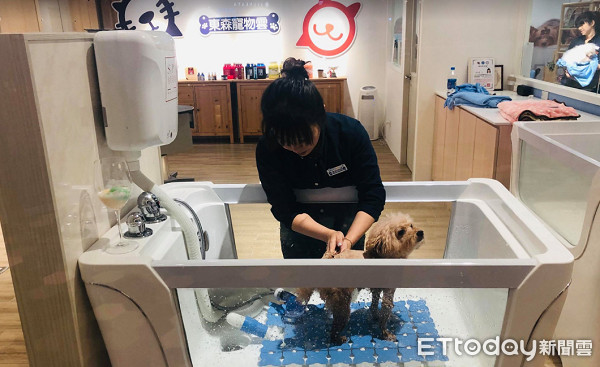 外聘美容師嗆打狗才會怕！劉淑蕙丟一句話轟走...結局神療癒