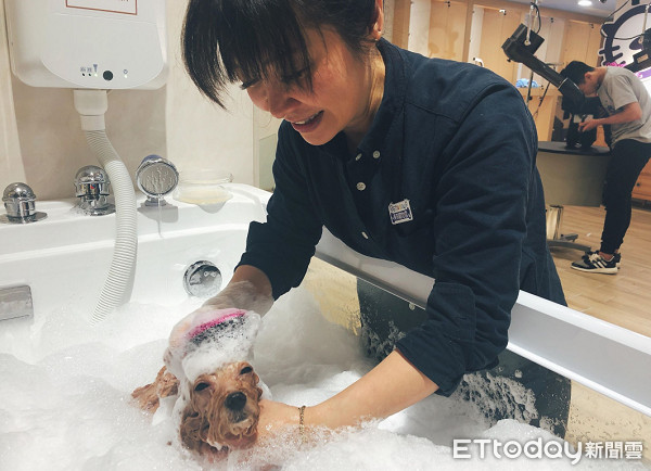 外聘美容師嗆打狗才會怕！劉淑蕙丟一句話轟走...結局神療癒