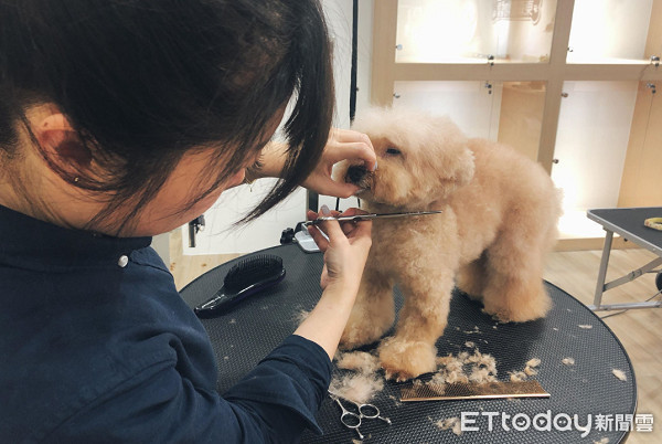 外聘美容師嗆打狗才會怕！劉淑蕙丟一句話轟走...結局神療癒