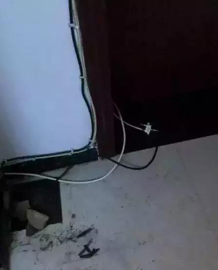  哈士奇拆家將電線咬斷，結果被電暈了