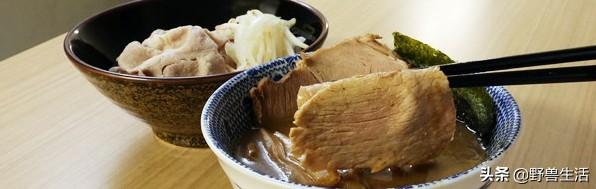 日本竟然有吃不胖的泡麵！日本低碳水飲食大揭秘~