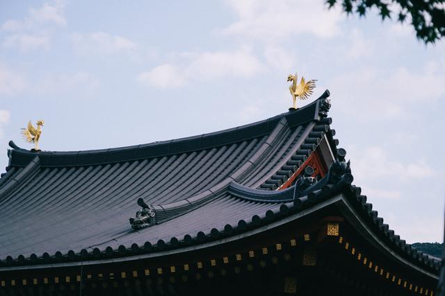 日本｜這個京都旁邊的小城，以國寶和抹茶，美譽全球！
