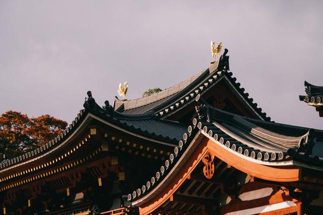 日本｜這個京都旁邊的小城，以國寶和抹茶，美譽全球！
