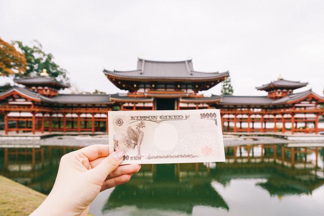 日本｜這個京都旁邊的小城，以國寶和抹茶，美譽全球！