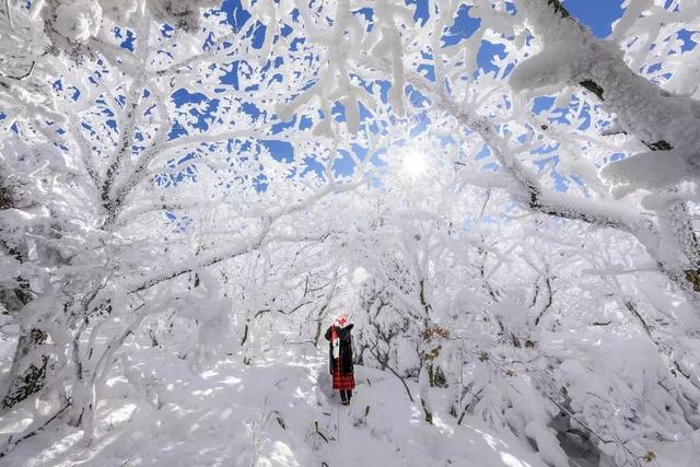 35張大片、35種風格，這些雪景美照我看了10遍！收藏！