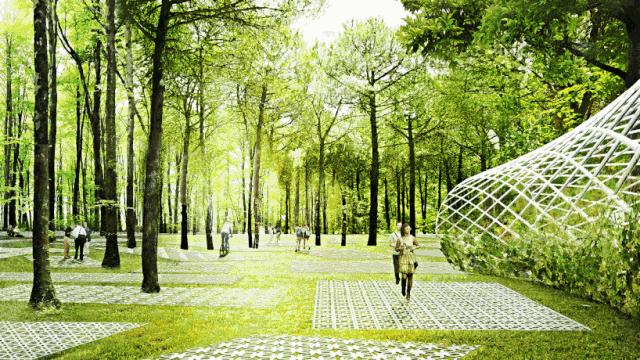 充滿未來感的森林公園