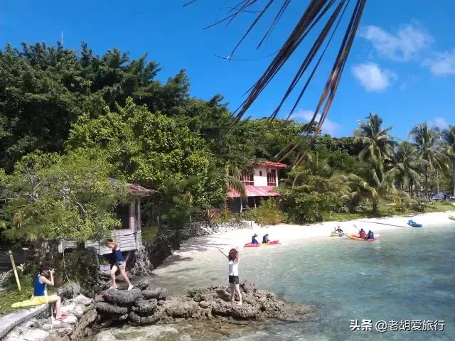 全世界唯一擁有無毒水母的地方，被稱作「上帝的水族箱」神秘島國