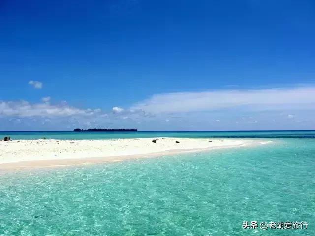 全世界唯一擁有無毒水母的地方，被稱作「上帝的水族箱」神秘島國