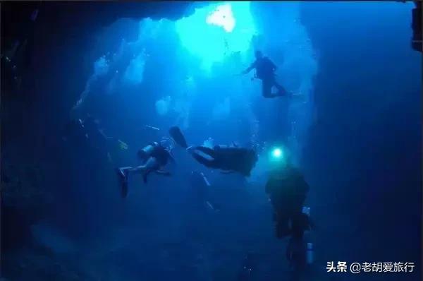 全世界唯一擁有無毒水母的地方，被稱作「上帝的水族箱」神秘島國