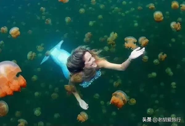 全世界唯一擁有無毒水母的地方，被稱作「上帝的水族箱」神秘島國