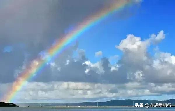 全世界唯一擁有無毒水母的地方，被稱作「上帝的水族箱」神秘島國