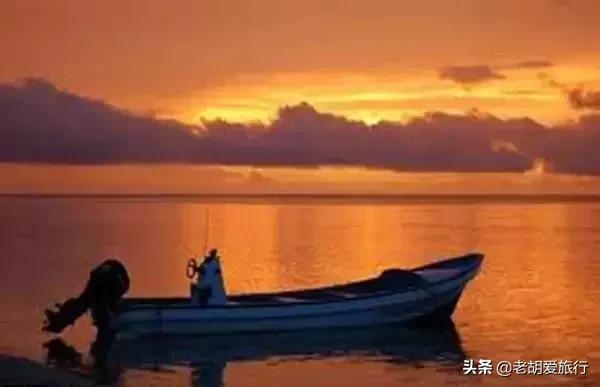 全世界唯一擁有無毒水母的地方，被稱作「上帝的水族箱」神秘島國