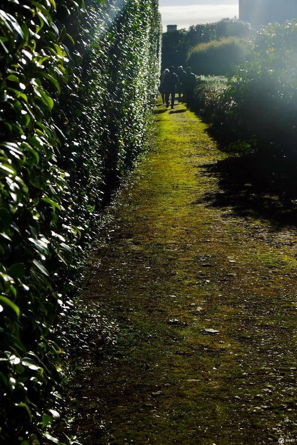 「英國美食有多黑——肆」偷喝了伯爵家的下午茶