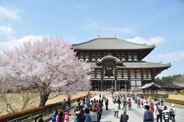 去日本玩，照著這個方法買日本航空的機票，比廉價航空還便宜？！