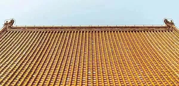 幾百年了…故宮屋頂為何從沒有鳥糞？「中國古代超猛工藝技術」外國都輸慘了！