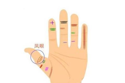 看看你手上有這2種掌紋嗎？有的話恭喜你，45歲之後一飛沖天、一發到底 - 佛緣福報