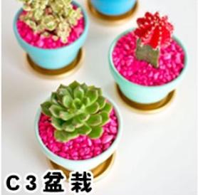 你覺得辦公桌不能少什麼呢？測想成功的你還缺什麼？