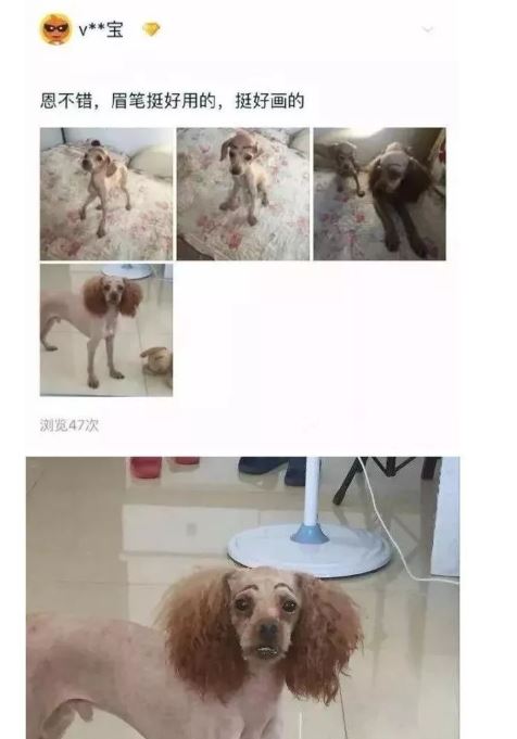兩隻腳「都是反的」！買家氣炸找店家理論　商品照PO網超蠢亮點被笑翻