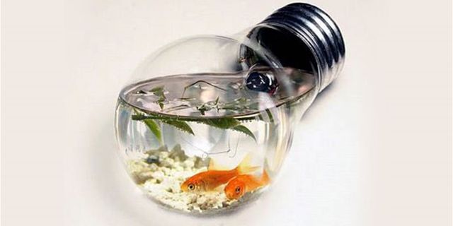 18個唯有天才般的創意才足以創造的獨特造型魚缸，愛好水族你的肯定會想擁有其中一個！