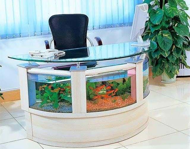 18個唯有天才般的創意才足以創造的獨特造型魚缸，愛好水族你的肯定會想擁有其中一個！